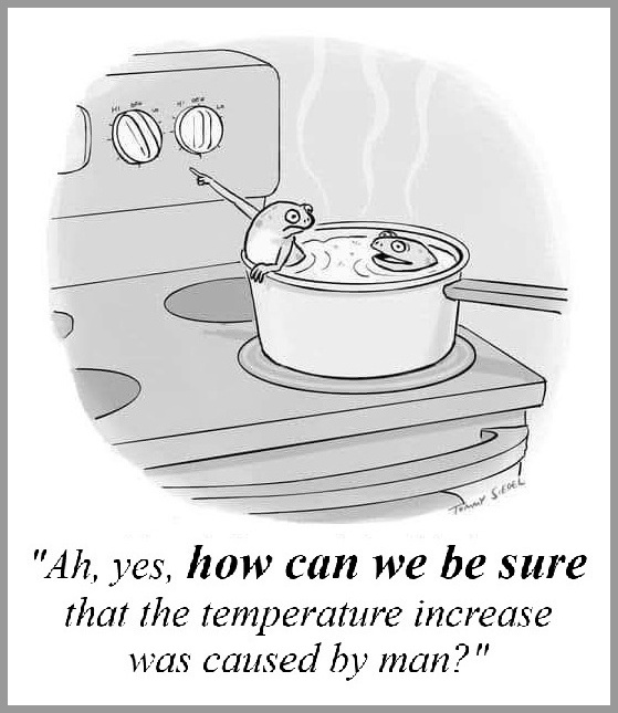 [two frogs in simmering water on a stovetop]

"Ah, yes, how can we be sure that the temperature increase was caused by man?"